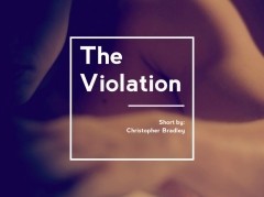 The Violation  (2013)
