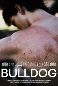 Bulldog