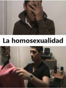 La homosexualidad  (2011)