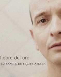 Fiebre del Oro.jpg