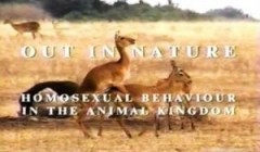 Out in Nature: Homosexual Behaviour in the Animal Kingdom  (2001)