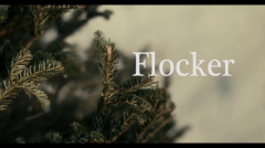 Flocker  (2016)
