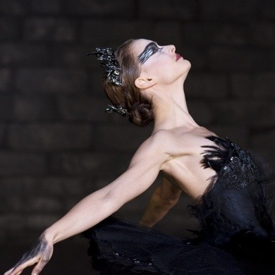 Black Swan / Černá labuť  (2010)