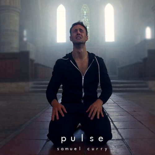 Pulse  (2017)