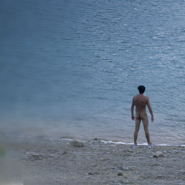 L&#039;inconnu du lac  (2013)