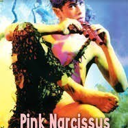 Pink Narcissus  (1971)