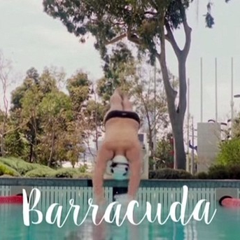Barracuda  (2016)