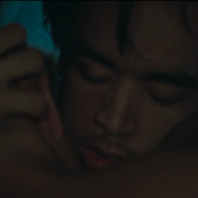 Why Do Birds Suddenly Disappear Why Do Birds Suddenly Disappear