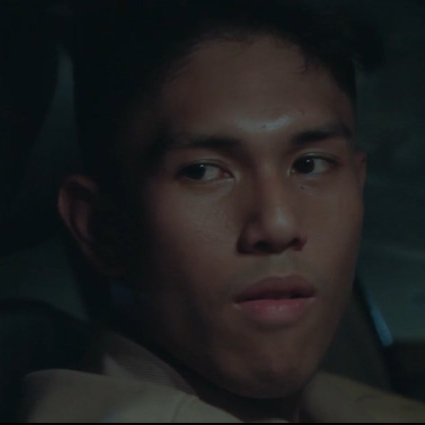 Why Do Birds Suddenly Disappear Why Do Birds Suddenly Disappear