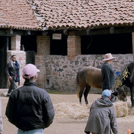Pornomelancolía