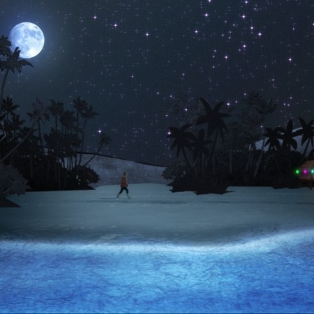 The Island  (2009)