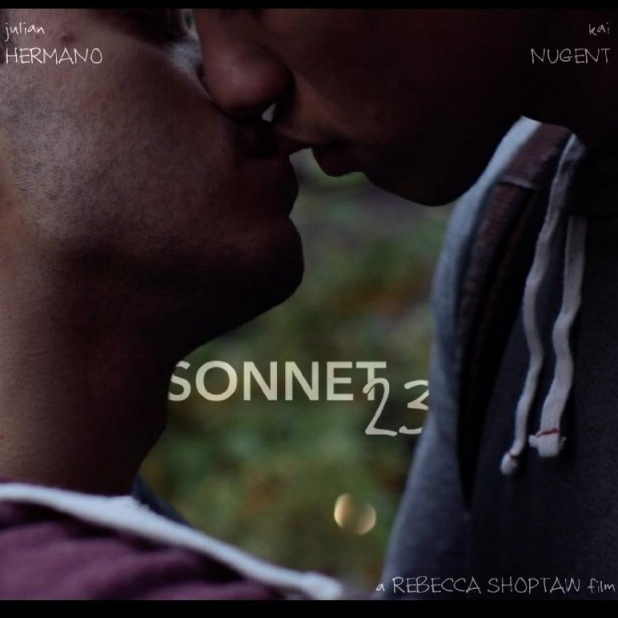 Sonnet 23  (2016)