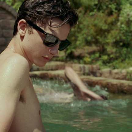 Call Me by Your Name / Říkej mi svým jménem / Dej mi své jméno  (2017)