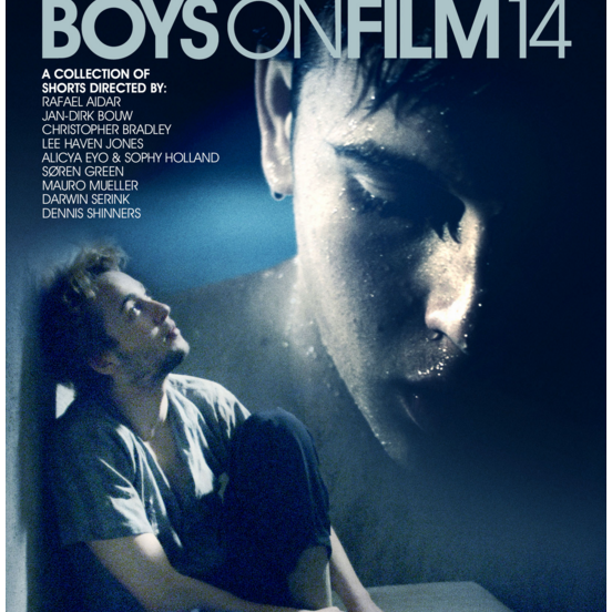 Boys on Film 14: Worlds Collide  (2015)