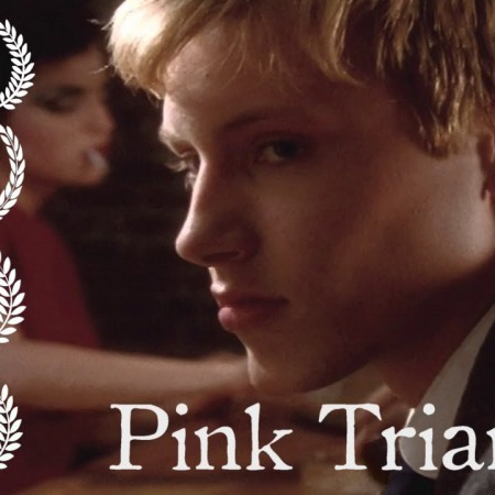 Pink Triangle  (2010)