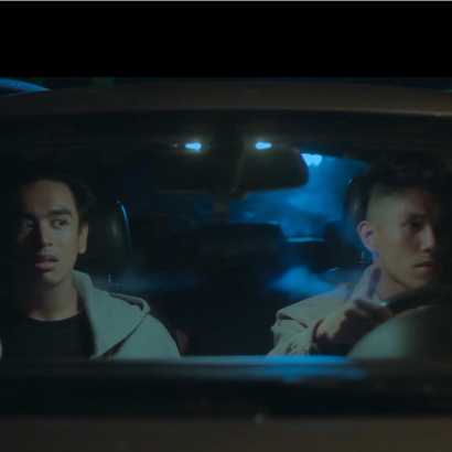 Why Do Birds Suddenly Disappear Why Do Birds Suddenly Disappear