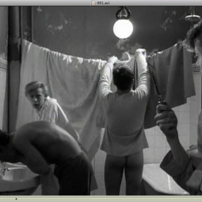 491  (1964)