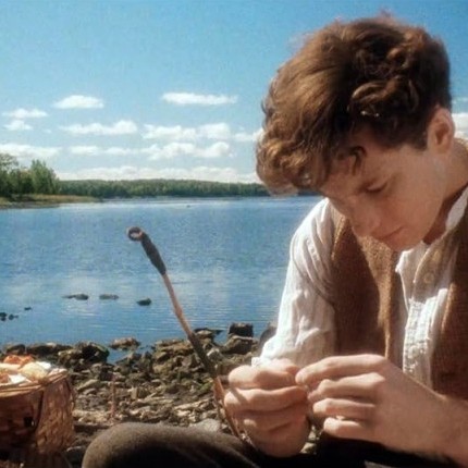 Lilies - Les feluettes