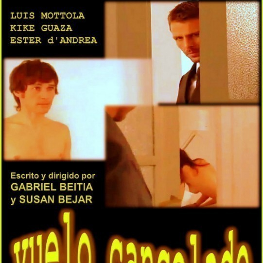 Vuelo cancelado  (2011)
