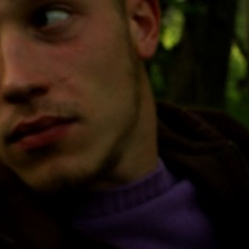 Mesa sto dasos / In the Woods  (2010)