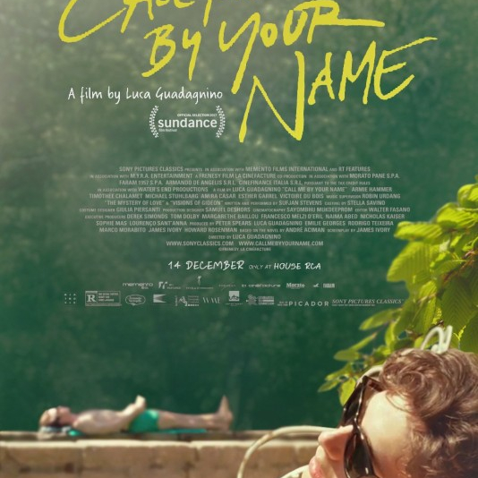 Call Me by Your Name / Říkej mi svým jménem / Dej mi své jméno  (2017)