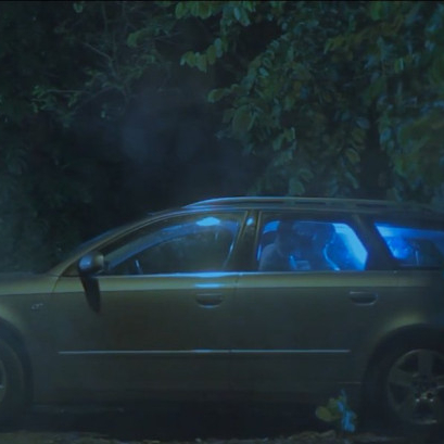 Why Do Birds Suddenly Disappear Why Do Birds Suddenly Disappear