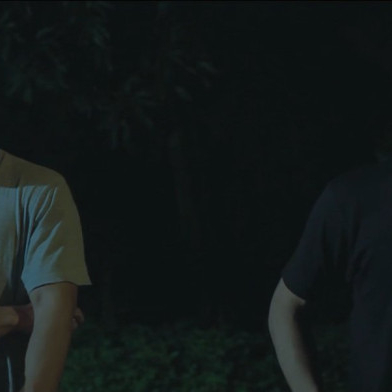 Why Do Birds Suddenly Disappear Why Do Birds Suddenly Disappear