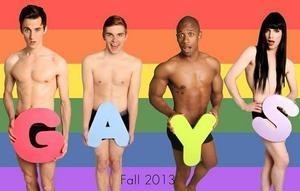 Gays: The Series  ()