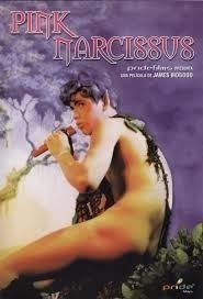 Pink Narcissus  ()