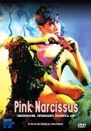Pink Narcissus  ()