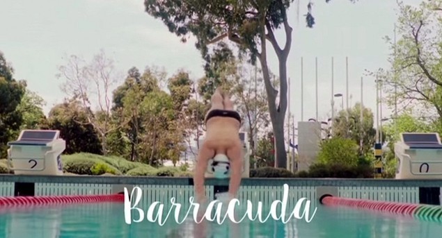 Barracuda  ()
