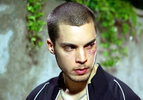 Gas / Plyn   (2005)