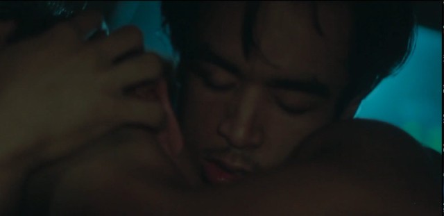 Why Do Birds Suddenly Disappear