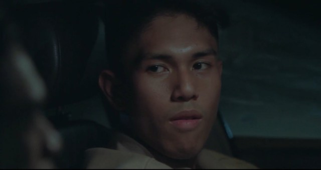 Why Do Birds Suddenly Disappear