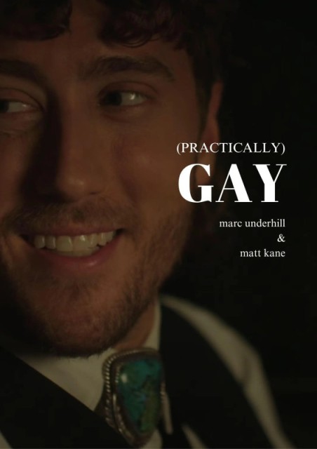 Practically Gay