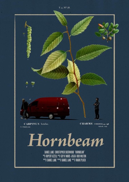 Hornbeam-cze