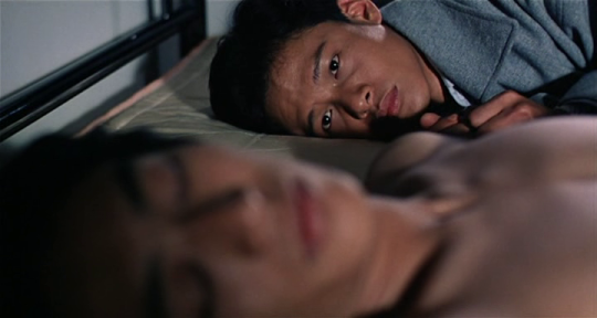 Ai qing wan sui / Vive l&#039;amour  ()