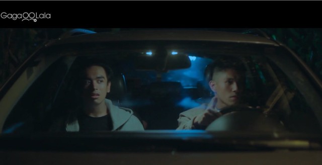 Why Do Birds Suddenly Disappear