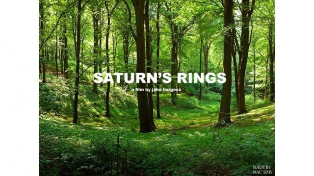 Saturn&#039;s Rings  ()