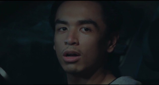 Why Do Birds Suddenly Disappear