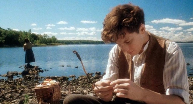 Lilies - Les feluettes