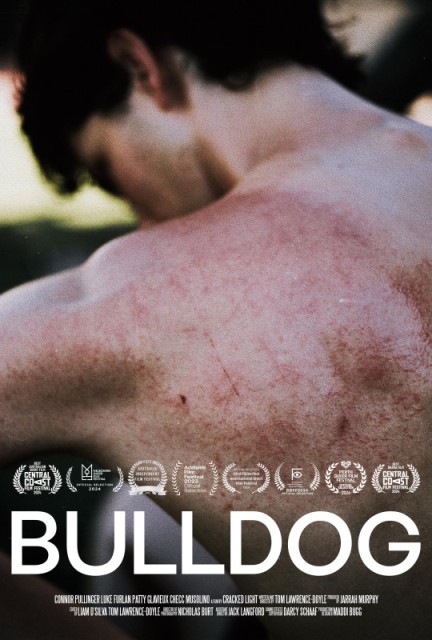 Bulldog
