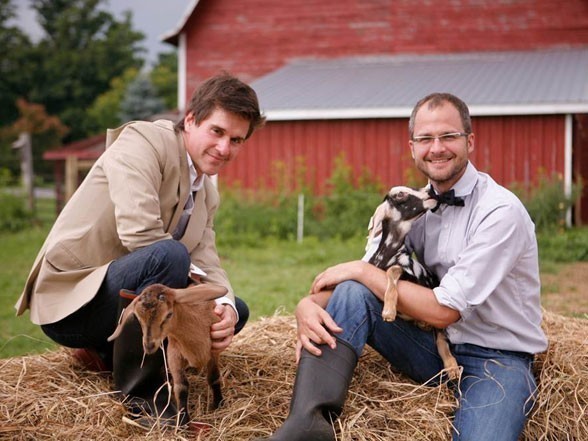 The Fabulous Beekman Boys  ()