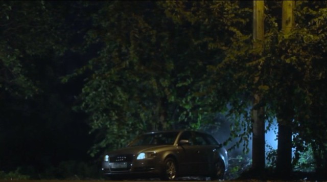 Why Do Birds Suddenly Disappear