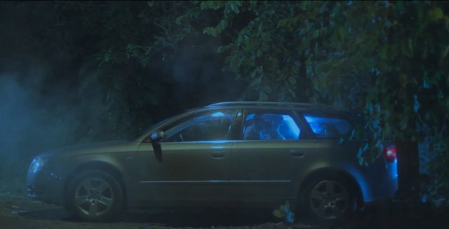 Why Do Birds Suddenly Disappear