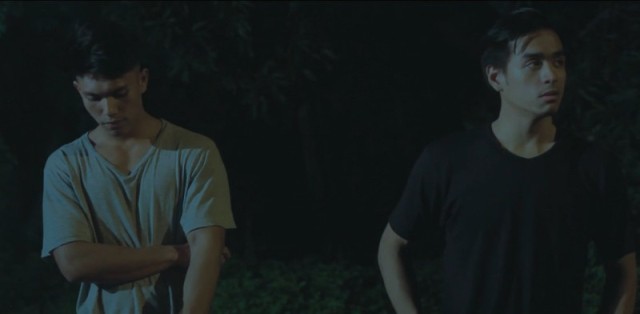 Why Do Birds Suddenly Disappear