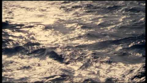 Noir Ocean Trailer