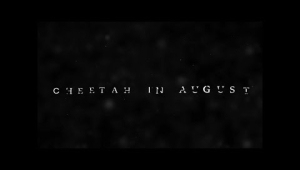Cheetah In August (Official 2015 Trailer)