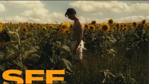 Sunflower – Clip – SFF 23