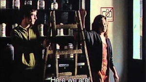 Hannah and Her Brothers (English Subtitled)